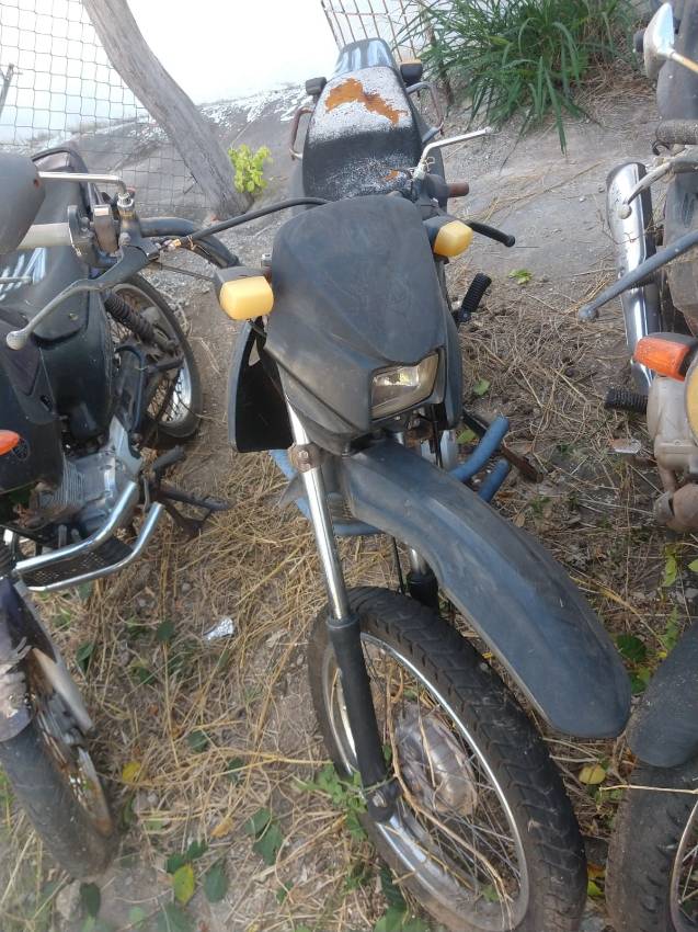 Foto