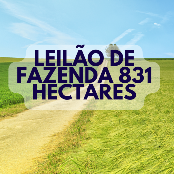 FAZENDA COM 831,6771HA, MUNICIPIO DE MONTE DO CARMO-TO