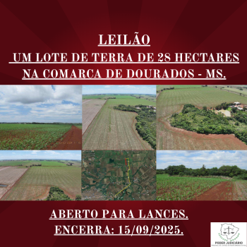 UM LOTE DE TERRA DE 28 HECTARES NA COMARCA DE DOURADOS - MS