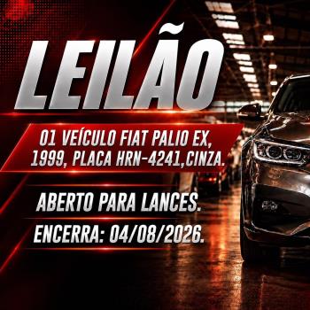 01 VEÍCULO FIAT PALIO EX, 1999, PLACA HRN-4241,CINZA