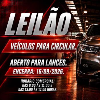 01 VEÍCULO CITROEN C4 PALLAS EXCLUSIVE, PRATA  ANO - MODELO 2010, EM DOURADOS - MS 