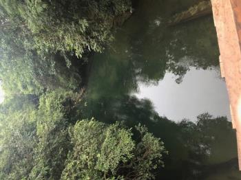 12,03 HA, DELIMITADAS, PERTENCENTES A GLEBA DE TERRAS PASTAIS E LAVRADIAS DA FAZENDA CACHOEIRA NOVA, SITUADA NO MUNICÍPIO DE BONITO-MS